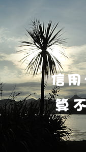 信用卡晚還2天算逾期么(信用卡晚還了一天算不算逾期)