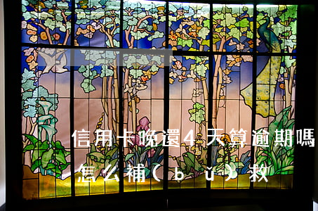信用卡晚還4天算逾期嗎-信用卡逾期4天怎么補(bǔ)救