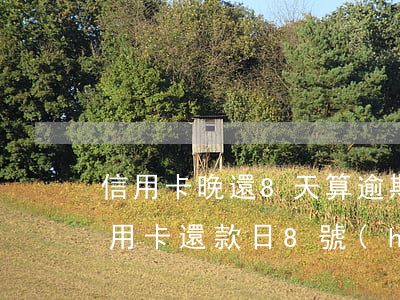 信用卡晚還8天算逾期嗎(8號(hào)信用卡還款日,8號(hào)當(dāng)天還款算逾期嗎)