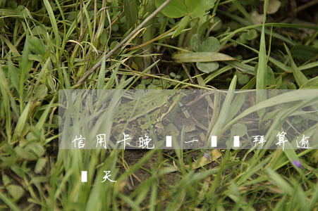 信用卡晚還一個禮拜算逾期嗎(還信用卡晚了兩天)