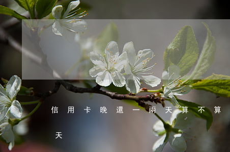 信用卡晚還一兩天算不算逾期(信用卡晚還1天)
