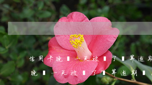 信用卡晚還一天被罰了錢算逾期嗎-信用卡晚還一天被罰了錢算逾期嗎怎么辦