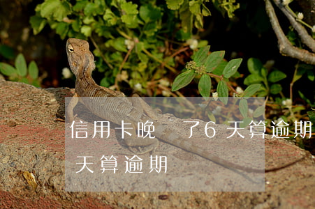 信用卡晚還了6天算逾期嗎(信用卡晚還了6天算逾期嗎)