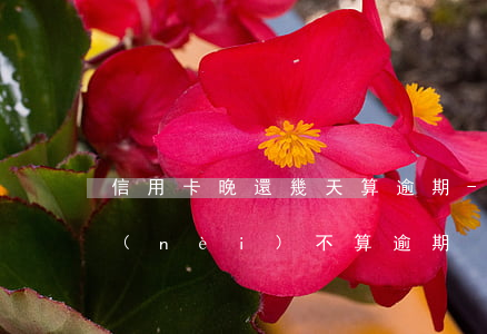 信用卡晚還幾天算逾期-信用卡逾期幾天內(nèi)不算逾期