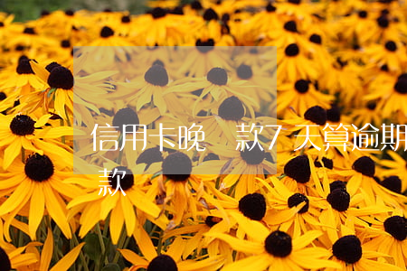 信用卡晚還款7天算逾期(信用卡晚了七天還款)