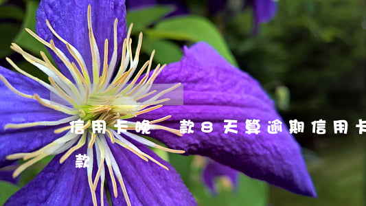 信用卡晚還款8天算逾期(信用卡晚了八天還款)