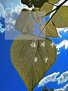 信用卡普通卡的透支額度(銀行卡透支額度是多少)