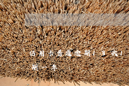 信用卡普通逾期13次 10張信用卡全部逾期一年