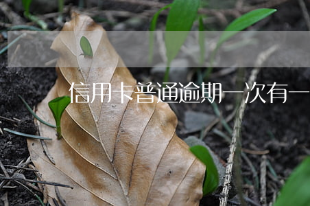 信用卡普通逾期一次(有一次逾期申请信用卡)