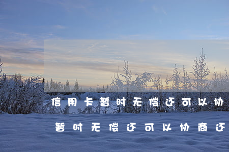 信用卡暂时无偿还可以协商还款吗-信用卡暂时无偿还可以协商还款吗
