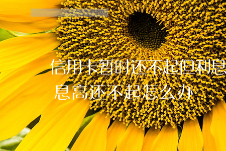 信用卡暂时还不起但利息又高(欠信用卡钱利息高还不起怎么办)