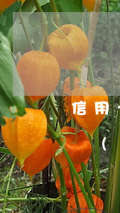 信用卡暫時(shí)無(wú)償還可以協(xié)商還款嗎-信用卡暫時(shí)無(wú)償還可以協(xié)商還款嗎