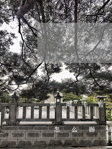 信用卡暫時(shí)無(wú)能力償還怎么辦(信用卡實(shí)在無(wú)力償還怎么辦理)