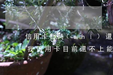 信用卡暫時(shí)還不起該怎么做(如果我信用卡目前還不上能怎么樣)