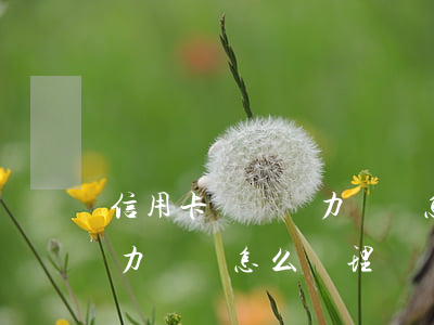 信用卡暫時無力償還怎么辦-信用卡暫時無力償還怎么辦理