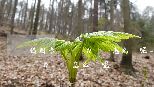 信用卡暫時無力償還怎么辦呢-信用卡暫時無力償還怎么辦呢
