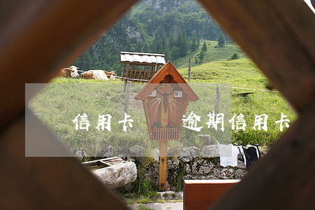 信用卡暫時逾期(信用卡暫時逾期)