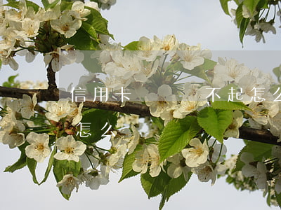 信用卡暫時還不起怎么辦(信用卡暫時還不起怎么辦?)
