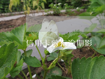 信用卡曾有逾期影響貸款