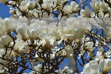 信用卡 曾經(jīng)有逾期 影響（信用卡長(zhǎng)期逾期會(huì)罰款嗎）