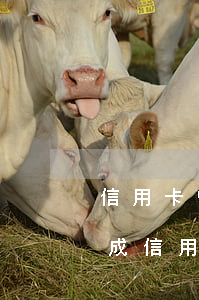 信用卡 曾經(jīng)有逾期 影響（有病造成信用卡逾期）