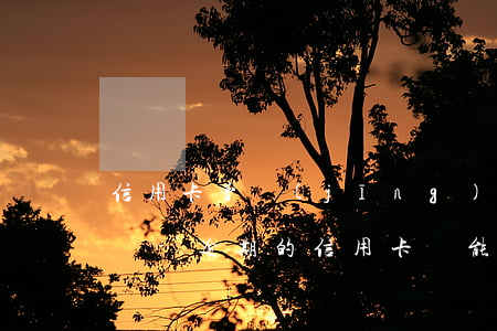 信用卡曾經(jīng)有過逾期還能分期嗎-逾期的信用卡還能分期嗎