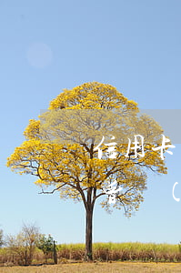信用卡曾經(jīng)逾期一次-信用卡曾經(jīng)逾期一次影響裝修貸嗎