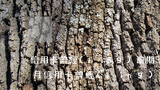 信用卡曾經(jīng)逾期三個(gè)月(信用卡曾經(jīng)逾期三個(gè)月)