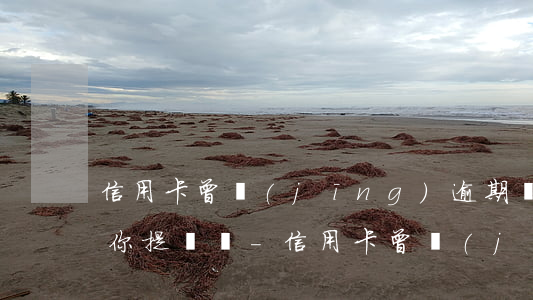 信用卡曾經(jīng)逾期過銀行還會給你提額嗎-信用卡曾經(jīng)逾期過銀行還會給你提額嗎
