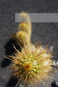 信用卡 曾經有逾期 影響征信嗎-信用卡 曾經有逾期 影響征信嗎怎么辦