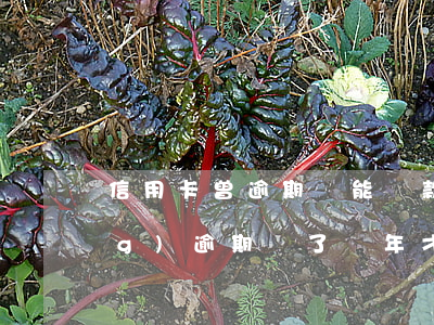 信用卡曾逾期還能貸款(信用卡曾經(jīng)逾期過了幾年才能貸款呀)