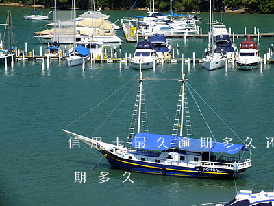 信用卡最久逾期多久还的(信用卡最长可以逾期多久)