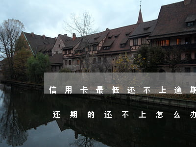 信用卡最低还不上逾期了(欠4万信用卡最低还期的还不上怎么办)
