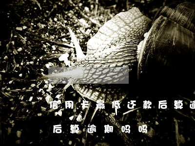 信用卡最低还款后算逾期吗 信用卡最低还款后算逾期吗吗