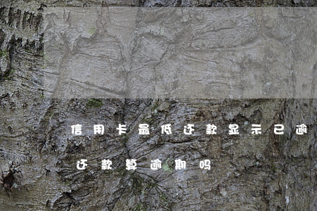 信用卡最低还款显示已逾期(信息用卡还最低还款算逾期吗)