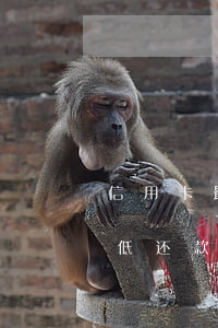信用卡最低还款的坏处选微粒贷-信用卡 最低还款怎么用