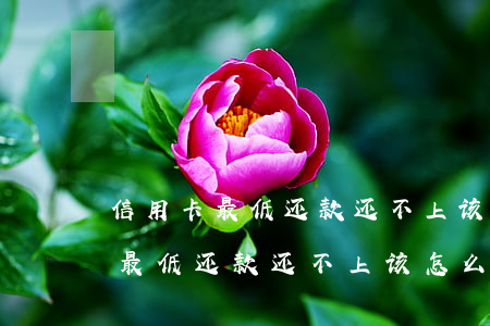 信用卡最低还款还不上该怎么解决-信用卡最低还款还不上该怎么解决,电话不敢接