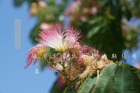 信用卡 最低还款 逾期（信用卡逾期最低越来越高）
