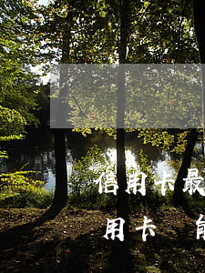 信用卡最低逾期多久(逾期幾天還最低額度信用卡還能用嗎)