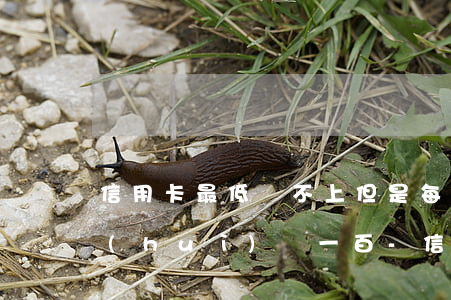 信用卡最低還不上但是每個(gè)月都會(huì)還一百-信用卡最低還不上但是每個(gè)月都會(huì)還一百多正常嗎