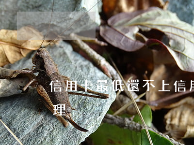 信用卡最低還不上(信用卡最低還不上怎么辦理)