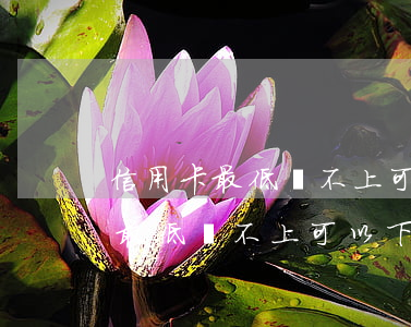 信用卡最低還不上可以下個月還嗎-信用卡最低還不上可以下個月還嗎