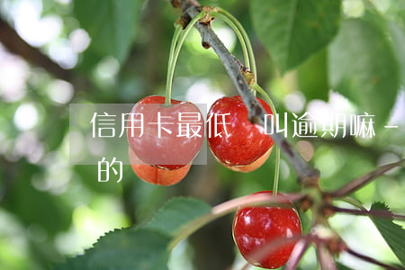 信用卡最低還叫逾期嘛-有多少信用卡逾期的