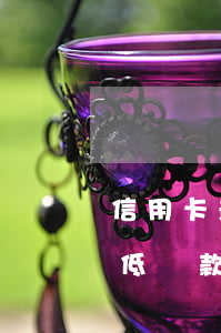 信用卡最低還款不能用微粒貸嗎-信用卡最低還款不能用微粒貸嗎為什么