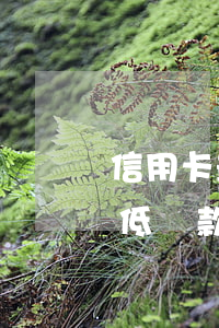 信用卡最低還款借唄哪個利息高-信用卡最低還款借唄哪個利息高點