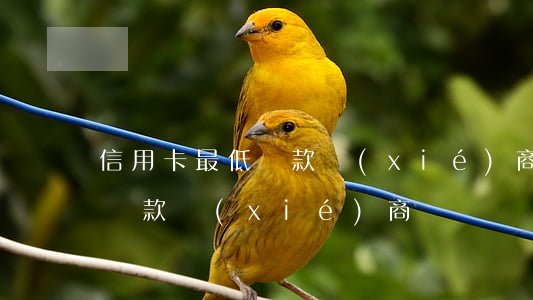 信用卡最低還款協(xié)商(信用卡最低還款協(xié)商)