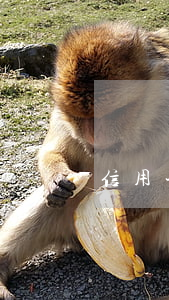 信用卡最低還款后是否為逾期