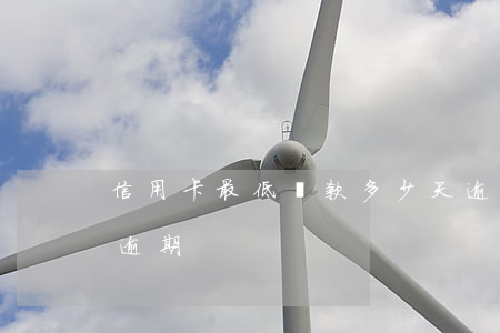 信用卡最低還款多少天逾期(信用卡 最低還款 逾期)