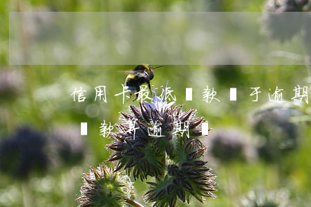 信用卡最低還款屬于逾期嘛(信用卡還了最低還款算逾期嗎)