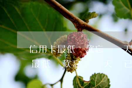 信用卡最低還款忘記幾天還已逾期-信用卡最低還款忘記幾天還已逾期怎么辦